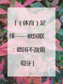 （体育）足球——欧国联：德国不敌葡萄牙
