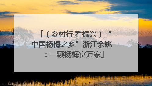 （乡村行·看振兴）“中国杨梅之乡”浙江余姚：一颗杨梅富万家
