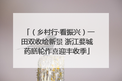 （乡村行·看振兴）一田双收绘新景 浙江婺城药膳轮作喜迎丰收季