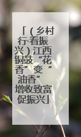 （乡村行·看振兴）江西铜鼓“花香”变“油香” 增收致富促振兴