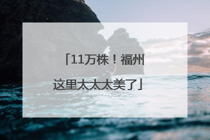 11万株！福州这里太太太美了