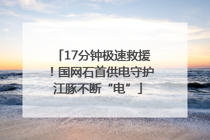 17分钟极速救援！国网石首供电守护江豚不断“电”
