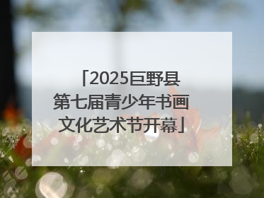 2025巨野县第七届青少年书画文化艺术节开幕