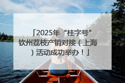 2025年“桂字号”钦州荔枝产销对接（上海）活动成功举办！