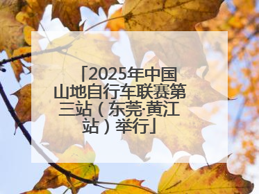 2025年中国山地自行车联赛第三站（东莞·黄江站）举行