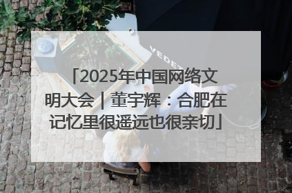 2025年中国网络文明大会｜董宇辉：合肥在记忆里很遥远也很亲切