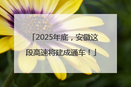 2025年底，安徽这段高速将建成通车！