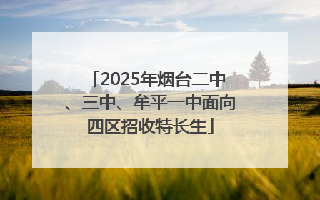 2025年烟台二中、三中、牟平一中面向四区招收特长生