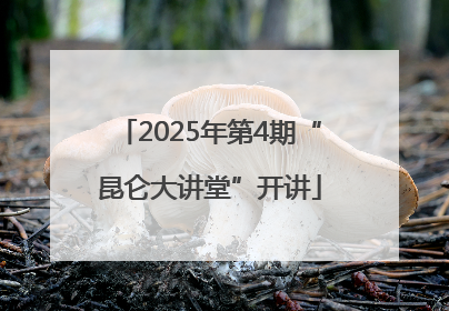 2025年第4期“昆仑大讲堂”开讲
