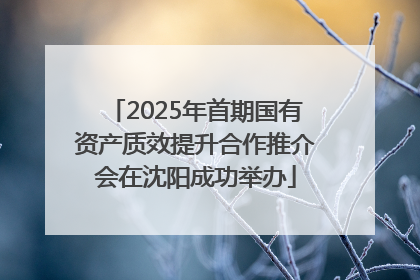 2025年首期国有资产质效提升合作推介会在沈阳成功举办