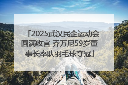2025武汉民企运动会圆满收官 乔万尼59岁董事长率队羽毛球夺冠
