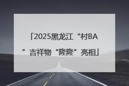 2025黑龙江“村BA”吉祥物“隆隆”亮相