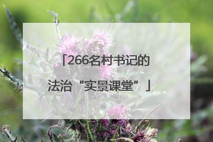 266名村书记的法治“实景课堂”