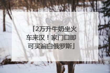 2万升牛奶坐火车来汉！家门口即可买遍白俄罗斯