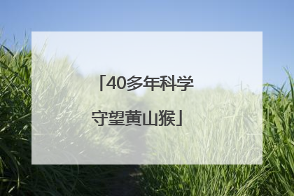 40多年科学守望黄山猴