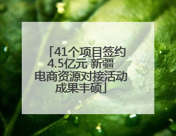 41个项目签约4.5亿元 新疆电商资源对接活动成果丰硕