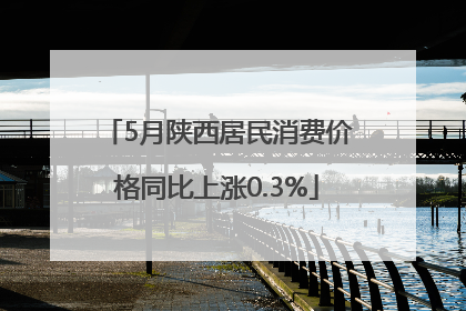 5月陕西居民消费价格同比上涨0.3%