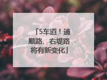 5车道！通顺路、右堤路将有新变化