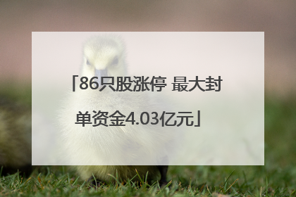 86只股涨停 最大封单资金4.03亿元