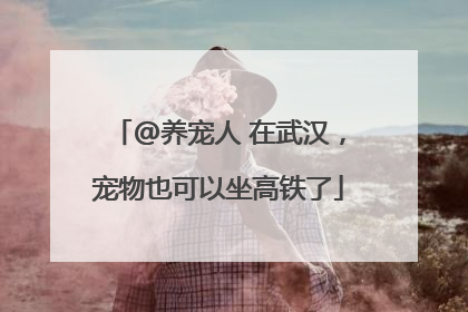 @养宠人 在武汉，宠物也可以坐高铁了