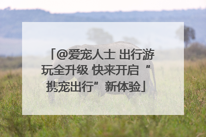 @爱宠人士 出行游玩全升级 快来开启“携宠出行”新体验