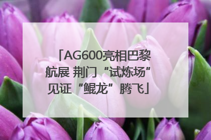 AG600亮相巴黎航展 荆门“试炼场”见证“鲲龙”腾飞