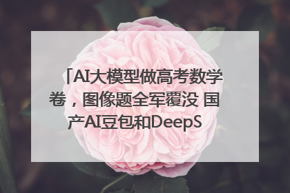 AI大模型做高考数学卷，图像题全军覆没 国产AI豆包和DeepSeek均得分144
