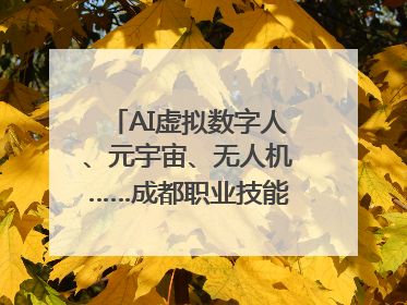 AI虚拟数字人、元宇宙、无人机……成都职业技能大赛启动