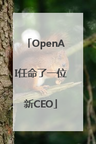 OpenAI任命了一位新CEO