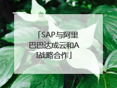 SAP与阿里巴巴达成云和AI战略合作
