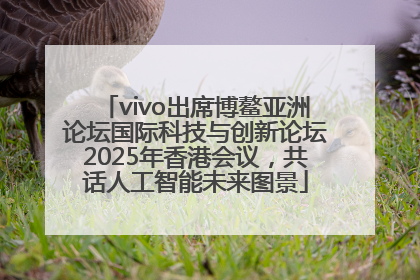vivo出席博鳌亚洲论坛国际科技与创新论坛2025年香港会议，共话人工智能未来图景