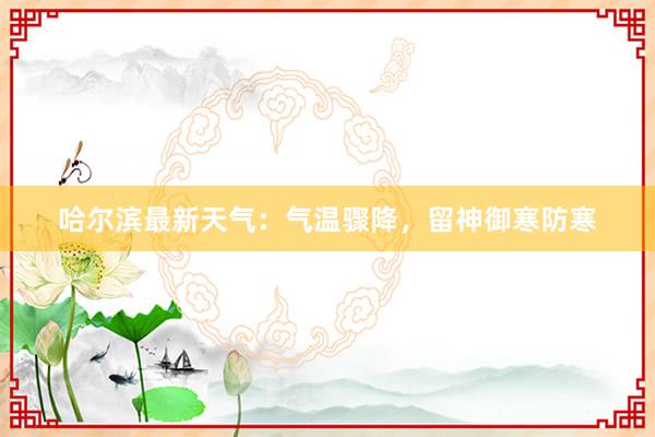 哈尔滨最新天气：气温骤降，留神御寒防寒